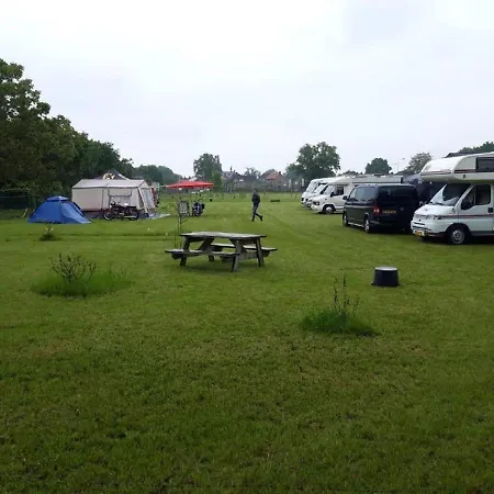 Forest Camp