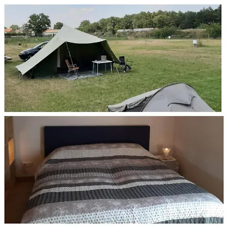 Forest Camp Kemp