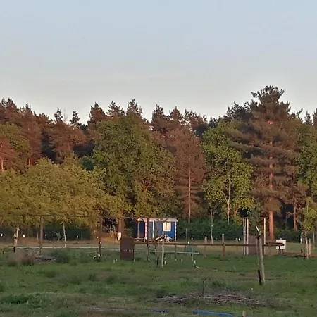 Forest Camp Swolgen